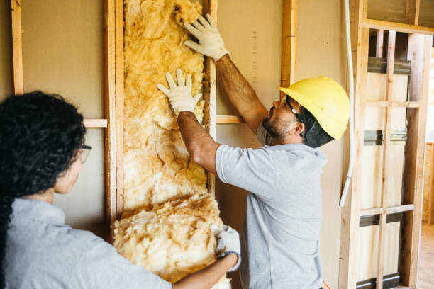 Best Wall Insulation Installation  in Alum Creek, WV